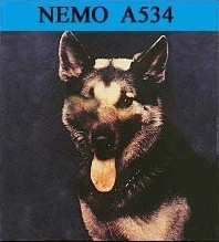 Nemo A534 