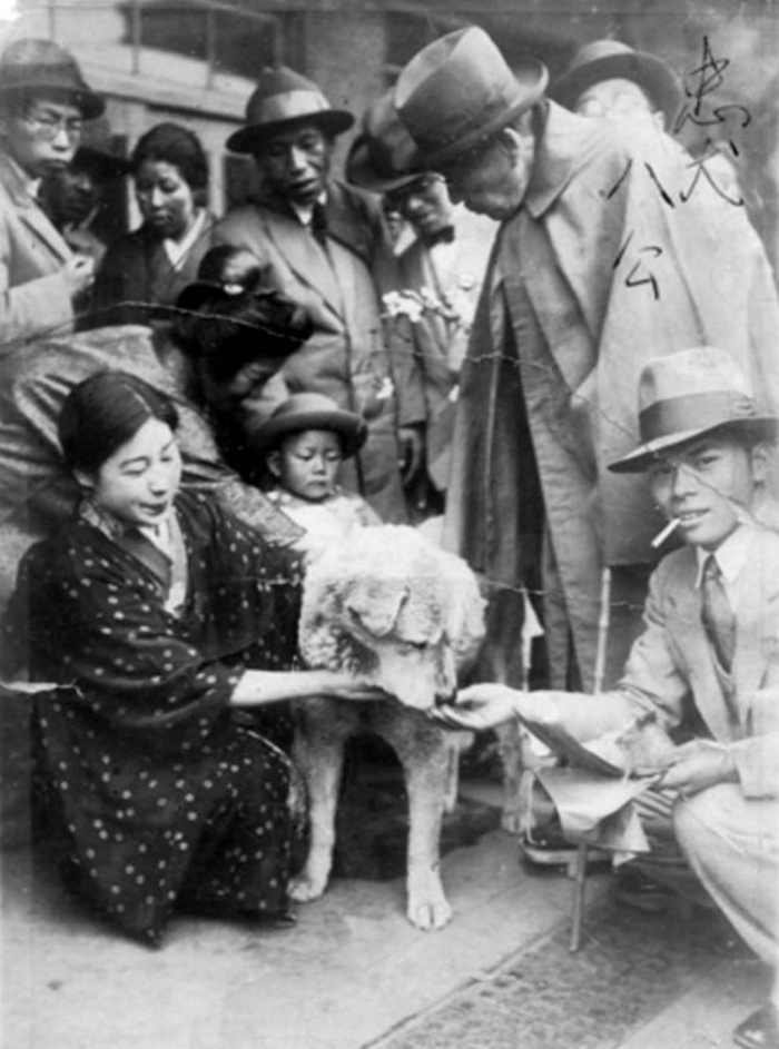 Photo of hachiko published in newspaper