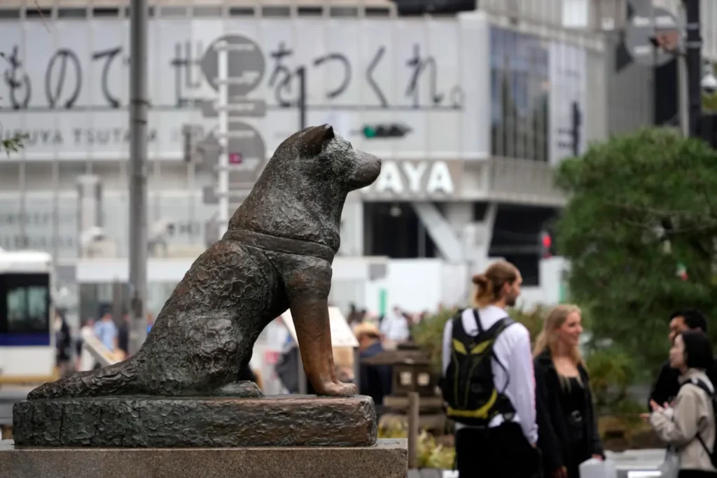 Bronze statue of hachiko at shibuya station